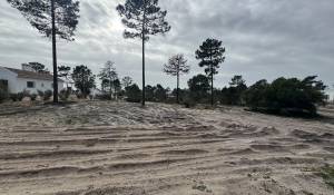 Verkauf Grundstück Carvalhal