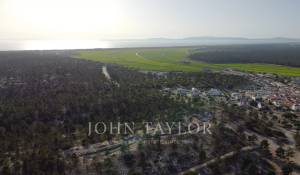 Verkauf Grundstück Carvalhal