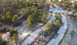 Verkauf Grundstück Carvalhal