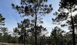 Verkauf Grundstück Carvalhal