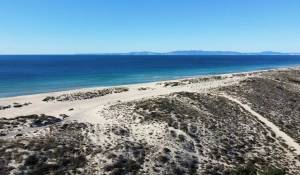 Verkauf Grundstück Carvalhal