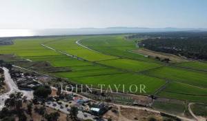 Verkauf Grundstück Carvalhal