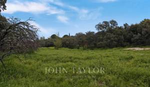 Verkauf Grundstück Ciudalcampo