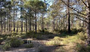 Verkauf Grundstück Comporta