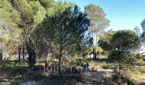 Verkauf Grundstück Comporta