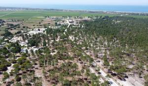 Verkauf Grundstück Comporta