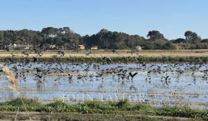 Verkauf Grundstück Comporta