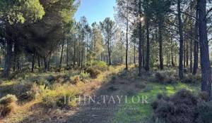 Verkauf Grundstück Grândola e Santa Margarida da Serra