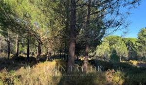 Verkauf Grundstück Grândola e Santa Margarida da Serra