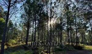 Verkauf Grundstück Grândola e Santa Margarida da Serra