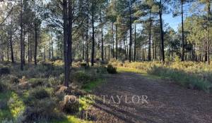 Verkauf Grundstück Grândola e Santa Margarida da Serra