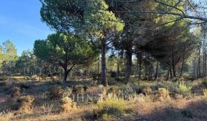 Verkauf Grundstück Grândola e Santa Margarida da Serra