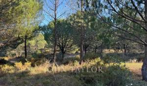 Verkauf Grundstück Grândola e Santa Margarida da Serra