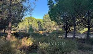 Verkauf Grundstück Grândola e Santa Margarida da Serra