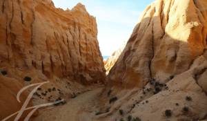 Verkauf Grundstück Grândola e Santa Margarida da Serra