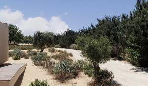 Verkauf Grundstück Grândola e Santa Margarida da Serra