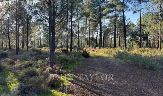 Verkauf Grundstück Grândola e Santa Margarida da Serra