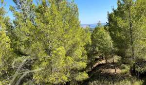 Verkauf Grundstück Palma de Mallorca