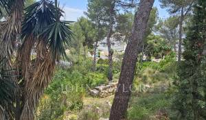 Verkauf Grundstück Peguera