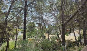 Verkauf Grundstück Peguera