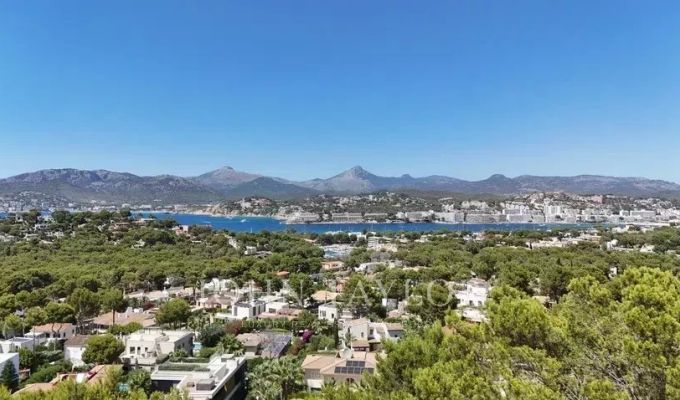 Verkauf Grundstück Santa Ponsa