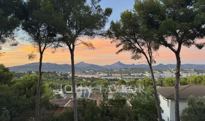 Verkauf Grundstück Santa Ponsa