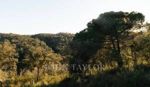 Verkauf Grundstück São Francisco da Serra