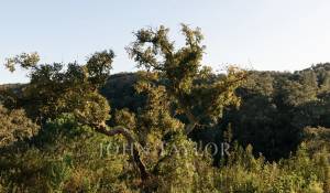 Verkauf Grundstück São Francisco da Serra