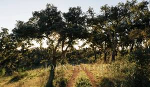 Verkauf Grundstück São Francisco da Serra