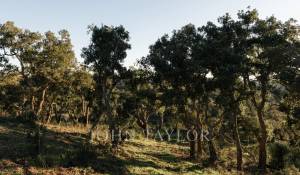 Verkauf Grundstück São Francisco da Serra