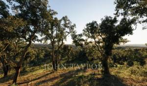 Verkauf Grundstück São Francisco da Serra