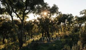 Verkauf Grundstück São Francisco da Serra