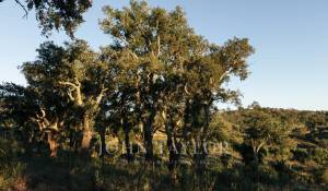 Verkauf Grundstück São Francisco da Serra