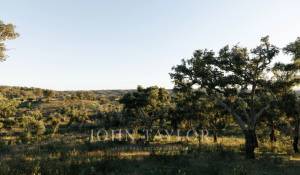 Verkauf Grundstück São Francisco da Serra