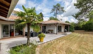 Verkauf Haus Blanquefort