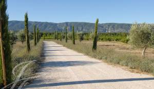 Verkauf Haus Cabrières-d'Avignon