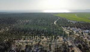 Verkauf Haus Carvalhal