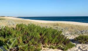 Verkauf Haus Carvalhal