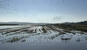 Verkauf Haus Carvalhal