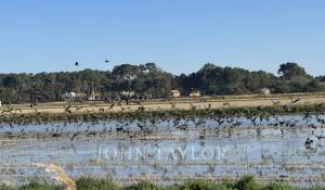 Verkauf Haus Carvalhal