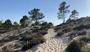 Verkauf Haus Comporta