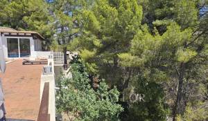 Verkauf Haus Es Capdella