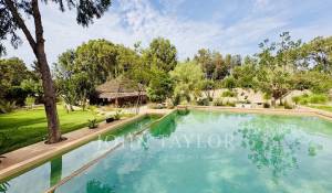 Verkauf Haus Essaouira