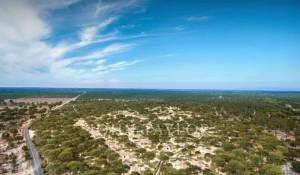 Verkauf Haus Grândola e Santa Margarida da Serra