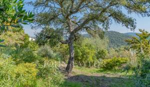 Verkauf Haus Les Adrets-de-l'Estérel