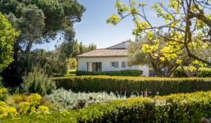 Verkauf Haus Les Portes-en-Ré