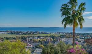 Verkauf Haus Mandelieu-la-Napoule