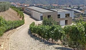 Verkauf Haus Mesão Frio (Santo André)