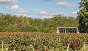 Verkauf Haus Podensac