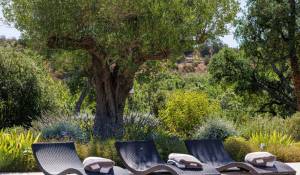 Verkauf Haus Roquefort-les-Pins